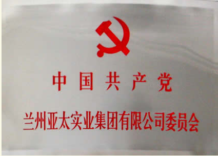 兰州人生就是博实业集团有限公司建设党委会专题