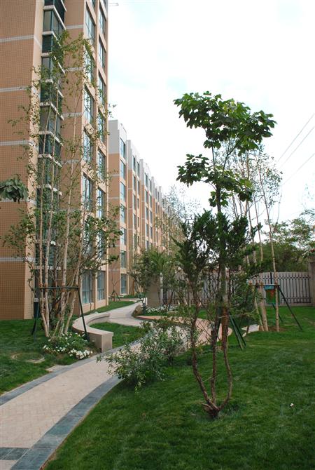 人生就是博嘉园二期局部景观雏形鉴赏（亲景实拍）